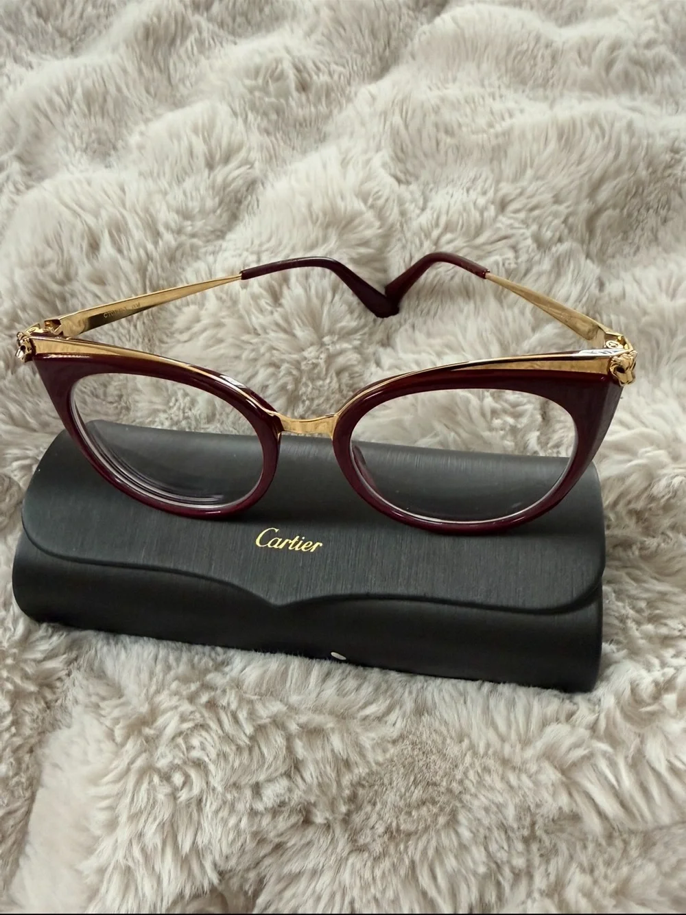 Cartier stylish cat